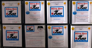 Hướng Dẫn Thi Công Sơn Chống Thấm Rồng Đen