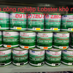 son thom cong nghiep lobster (4)