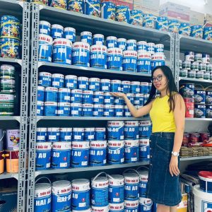 Đại lý sơn Hải Âu – chuyên sơn tàu, nhà xưởng