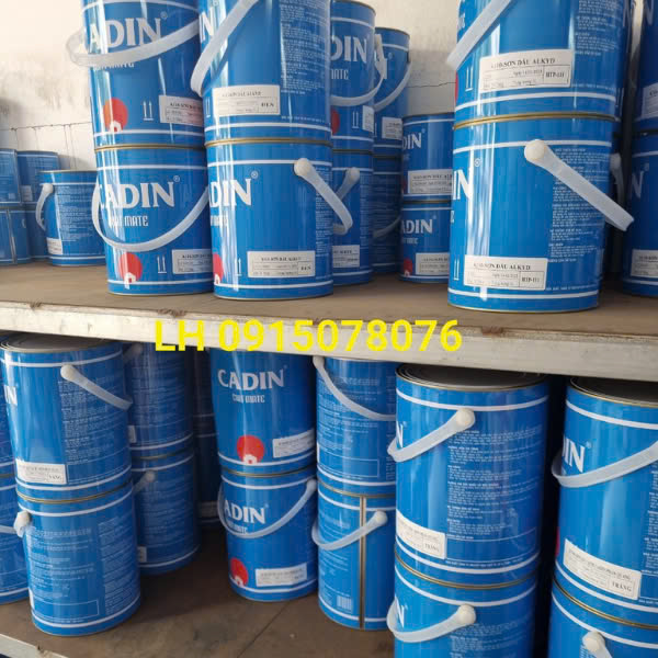 Sơn Vân Bông 1TP A150 Bảo Vệ Và Làm Đẹp Tường