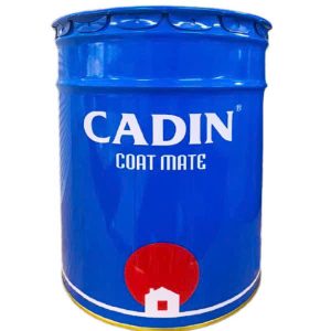 Sơn Vân Bông HTP A156 Cho Nhà Phố Cao Cấp