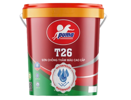 CHỐNG THẤM MÀU CT-11A GP