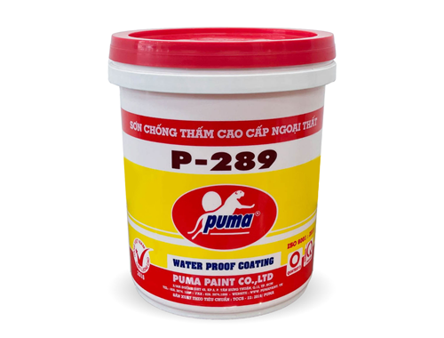 SƠN CHỐNG THẤM CAO CẤP NGOẠI THẤT P-289 BỀ MẶT MỜ